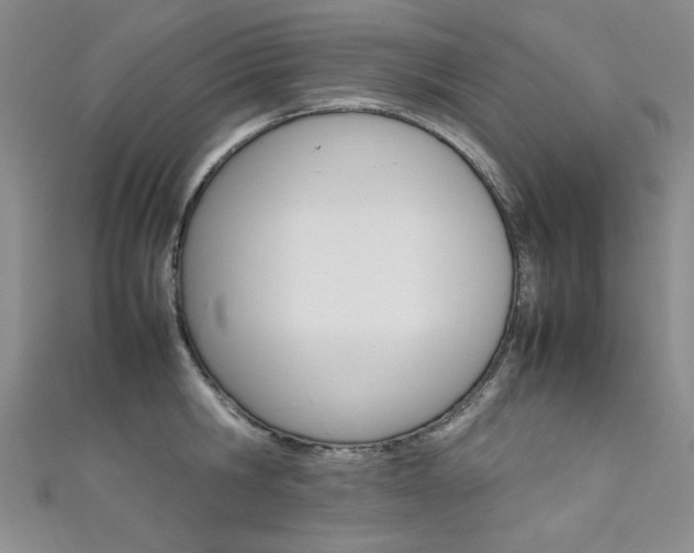 X0000111650806200907171057