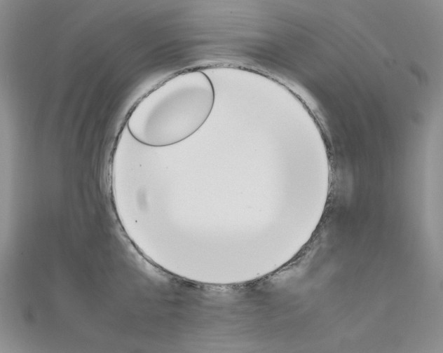 X0000111650807200907171057