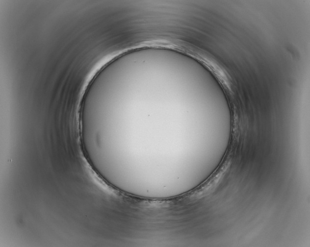 X0000111650808200907171057