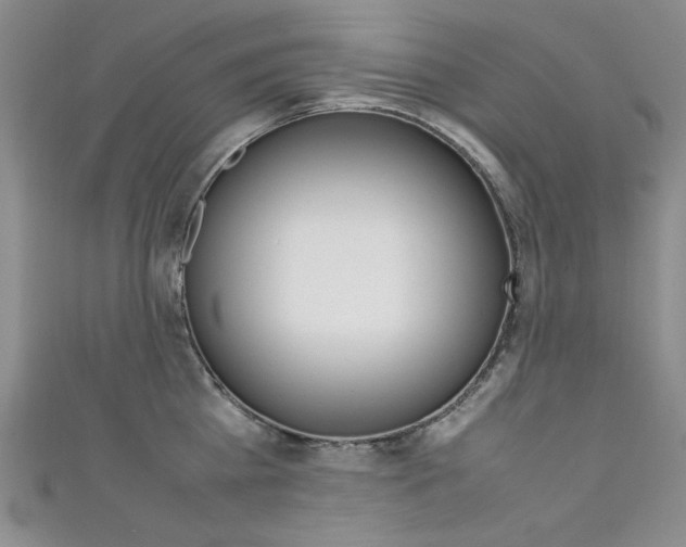 X0000111650809200907171057