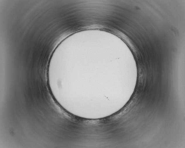 X0000111650810200907171057