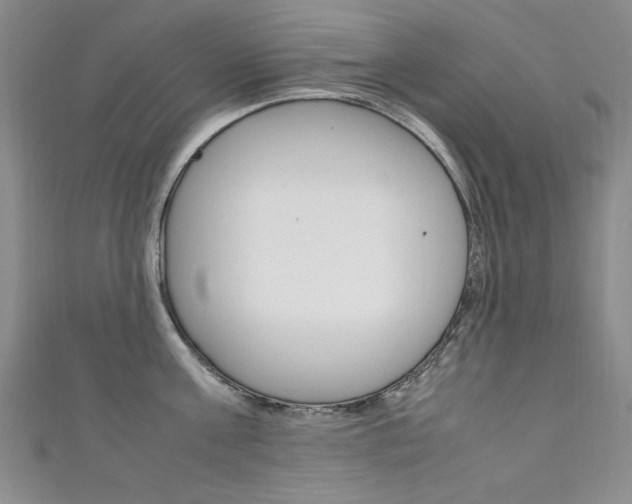 X0000111650811200907171057