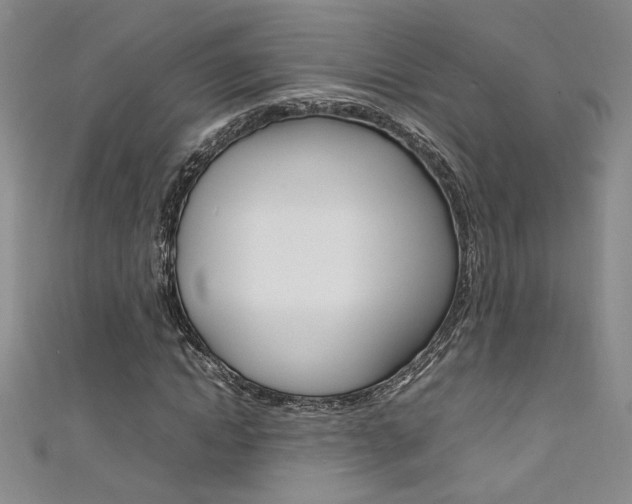 X0000111650822200907171057