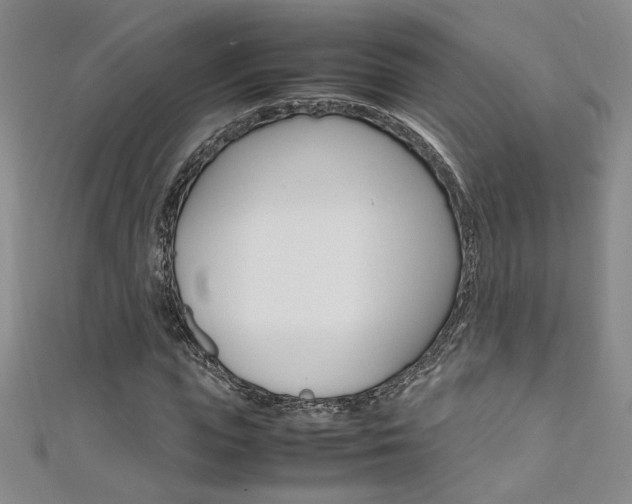 X0000111650823200907171057