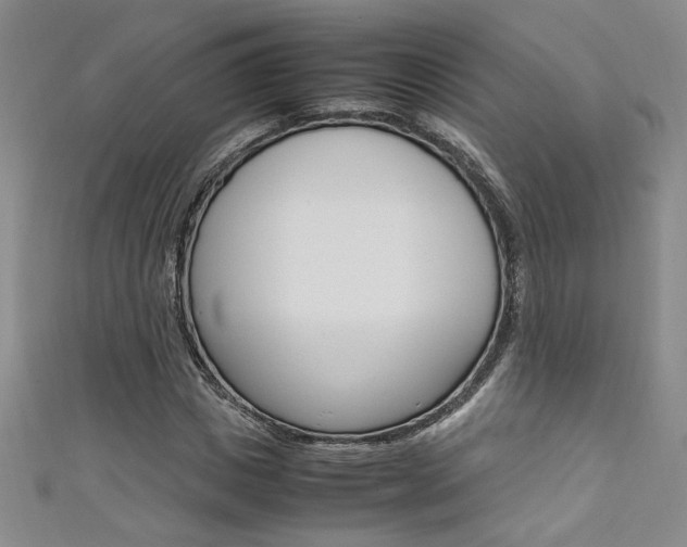 X0000111650825200907171057