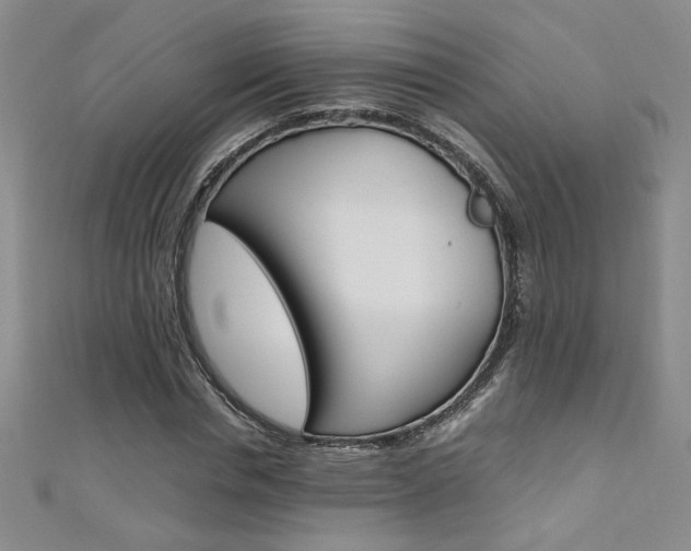 X0000111650826200907171057