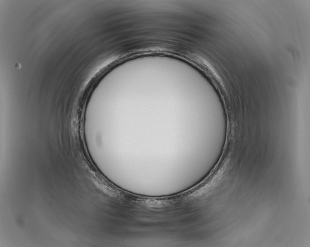 X0000111650827200907171057