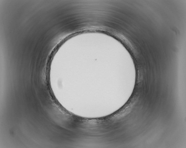 X0000111650828200907171057