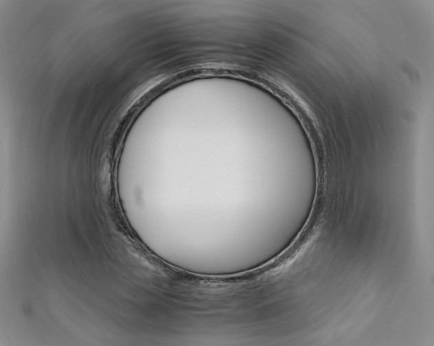 X0000111650829200907171057