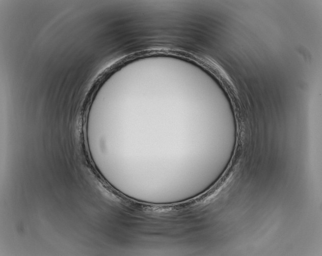 X0000111650831200907171057