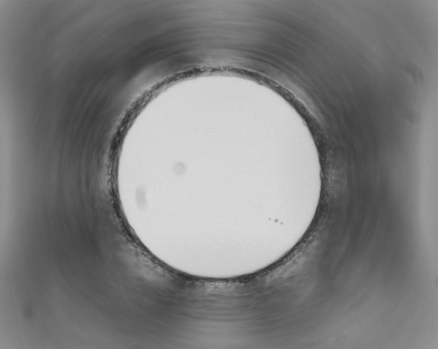 X0000111650832200907171057