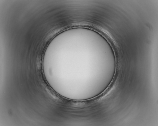 X0000111650833200907171057