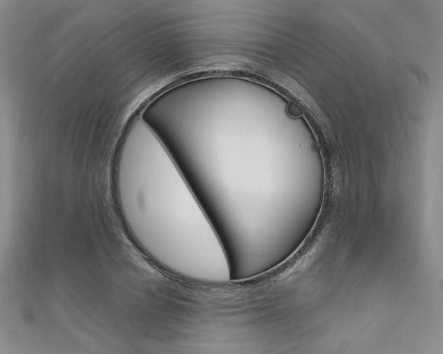 X0000111650834200907171057