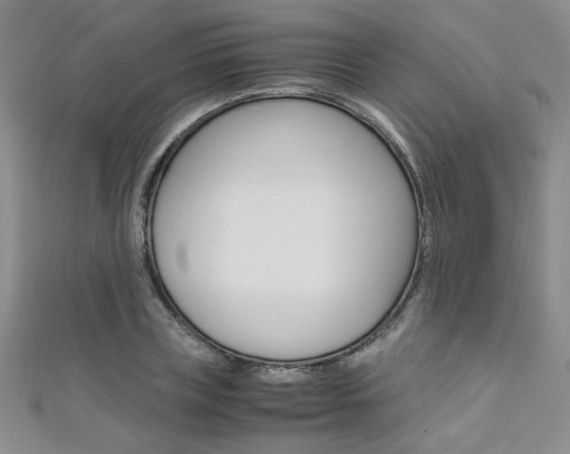 X0000111650835200907171057