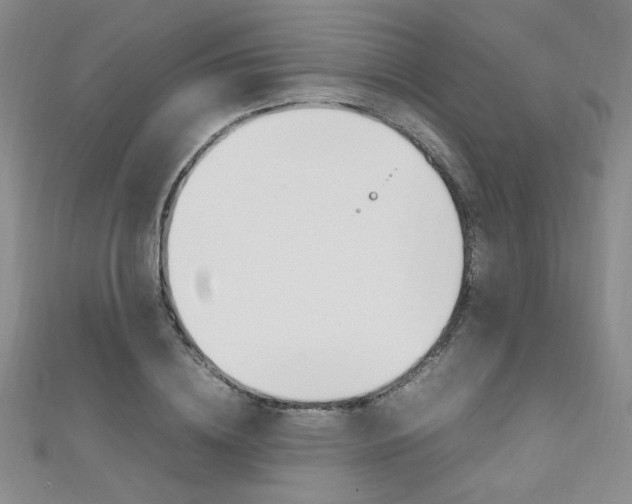 X0000111650836200907171057