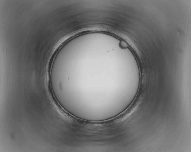 X0000111650837200907171057