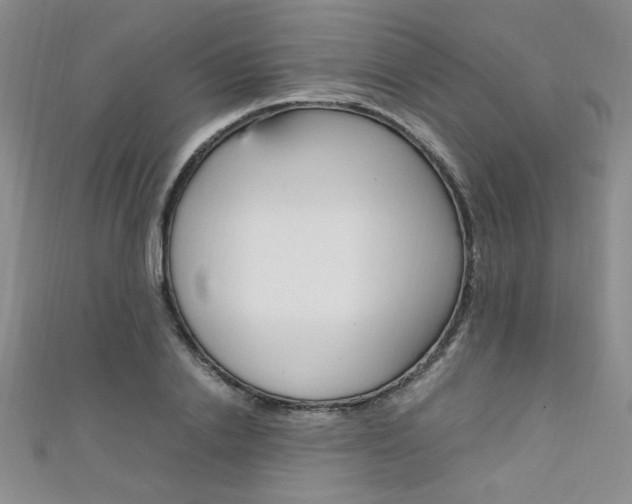 X0000111650838200907171057