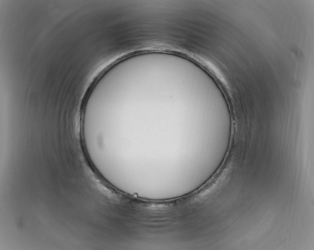X0000111650839200907171057