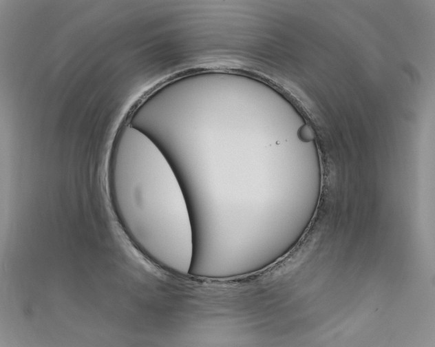 X0000111650840200907171057