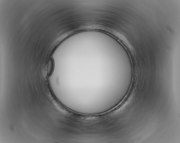 X0000111650841200907171057