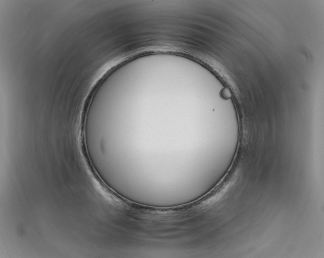 X0000111650845200907171057