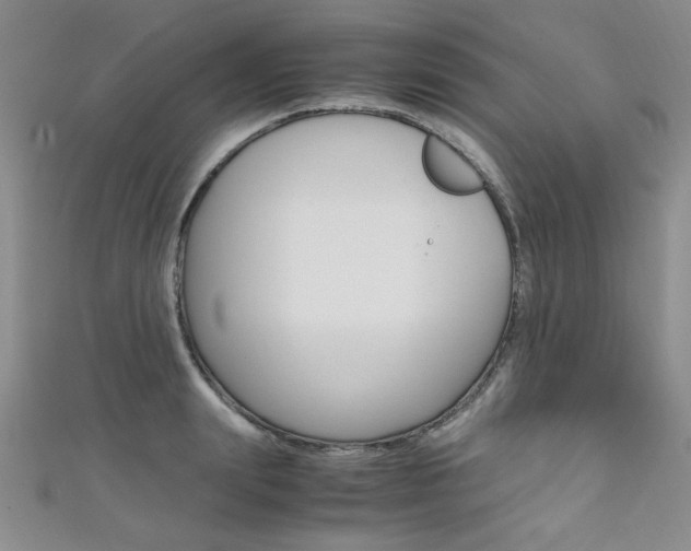 X0000111650847200907171057