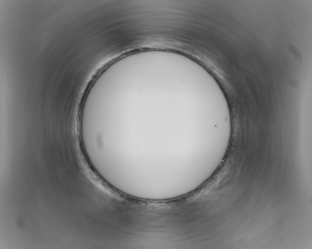 X0000111650848200907171057