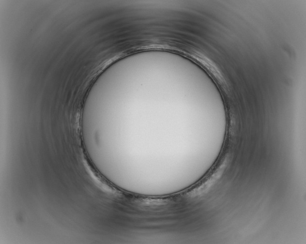 X0000111650849200907171057