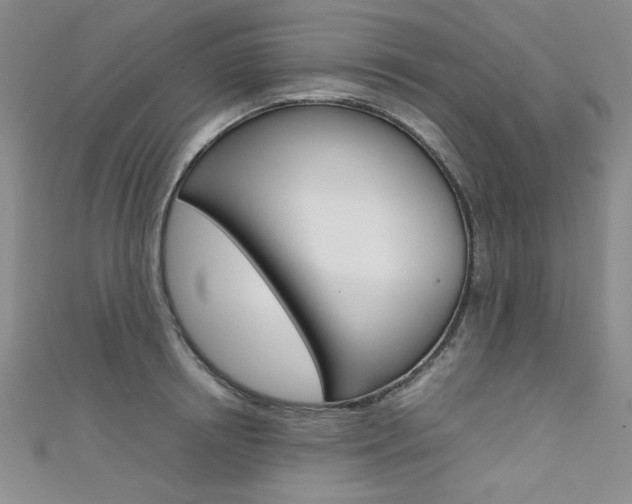 X0000111650850200907171057