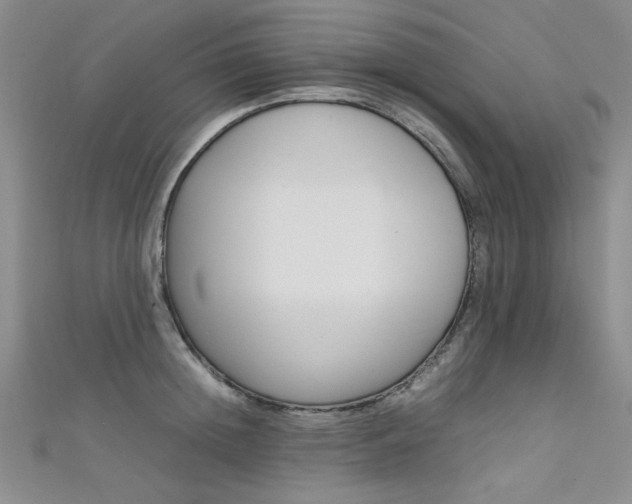 X0000111650852200907171057