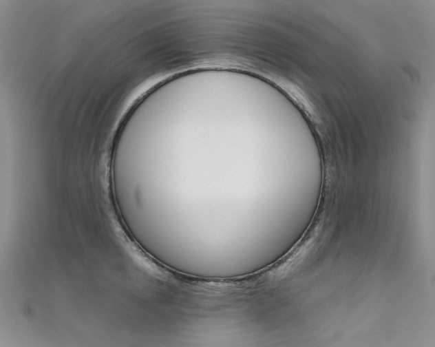X0000111650854200907171057