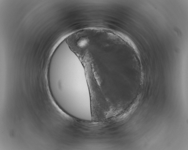 X0000111650855200907171057