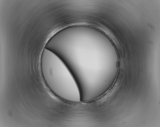 X0000111650858200907171057