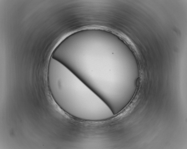 X0000111650860200907171057