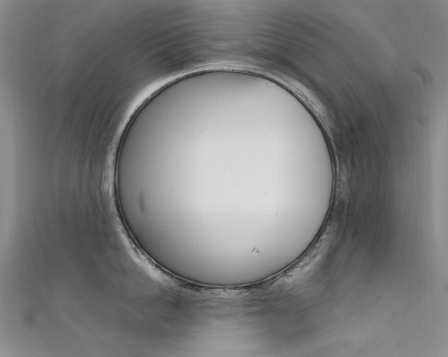 X0000111650862200907171057