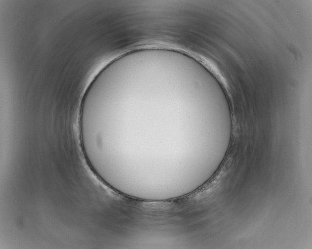 X0000111650863200907171057