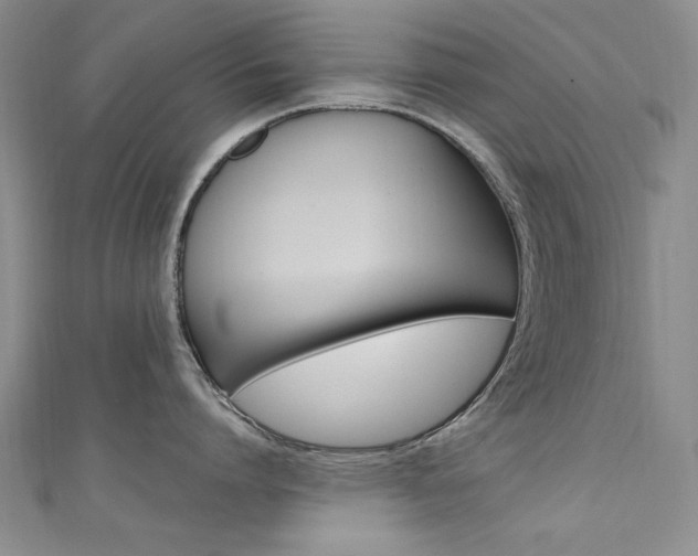 X0000111650864200907171057
