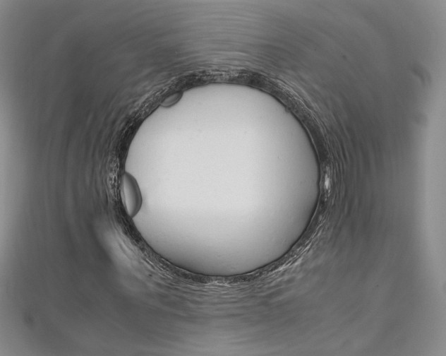 X0000111650867200907171057