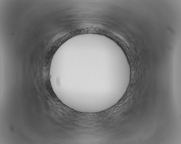X0000111650869200907171057