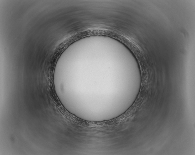 X0000111650870200907171057