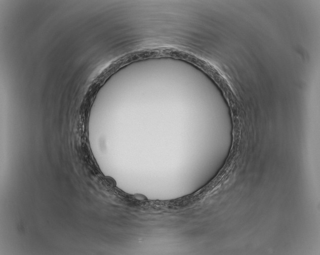 X0000111650871200907171057