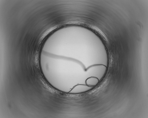 X0000111650874200907171057