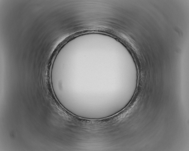 X0000111650875200907171057