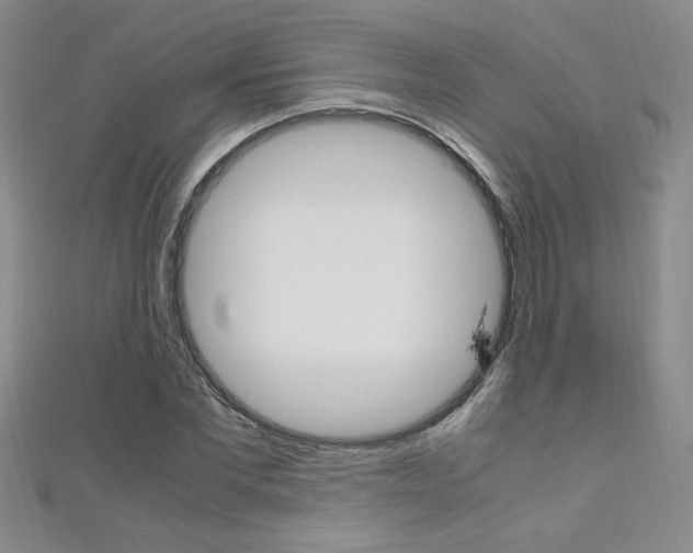 X0000111650877200907171056
