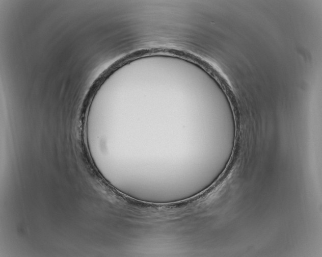 X0000111650879200907171056
