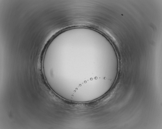 X0000111650883200907171056