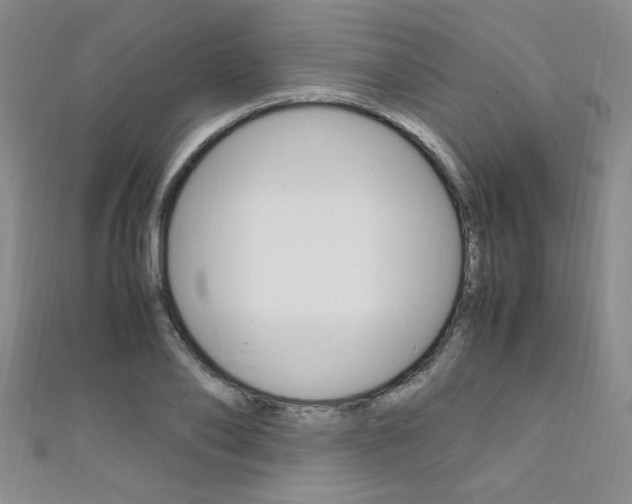 X0000111650886200907171056