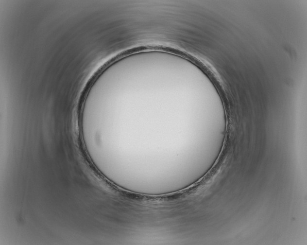 X0000111650887200907171056