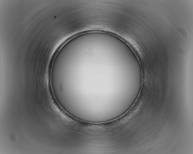 X0000111650888200907171056