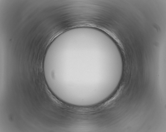 X0000111650889200907171056